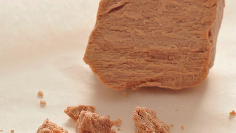Compressed Yeast Market Dynamics: Demand-Supply Balance, Technological Advancements, Consumer Preferences, and Competitive Landscape