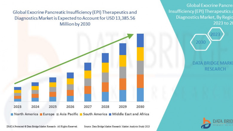 Europe Exocrine Pancreatic Insufficiency (EPI) Therapeutics and Diagnostics Market Size, Share, Trends, Demand, Industry Growth and Competitive Outlook