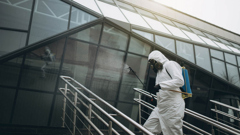 Expert Pest Control Services in Hillside