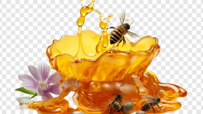 Honey Market Size, Share, Dynamics,Trends, Analysis, 2032