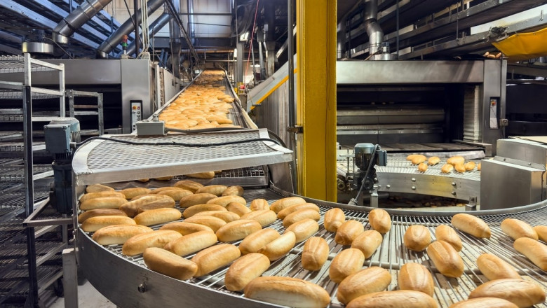 India Food Processing Market Trends, Industry Analysis | Outlook 2025-2033