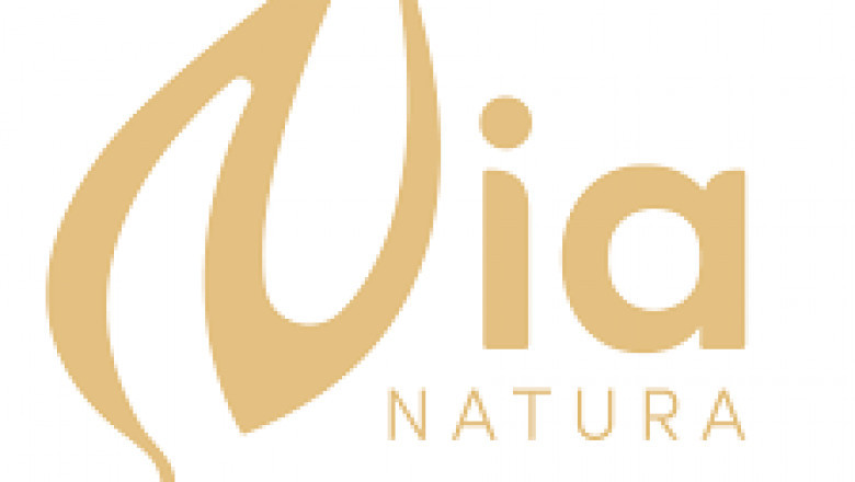 Raw organic honey