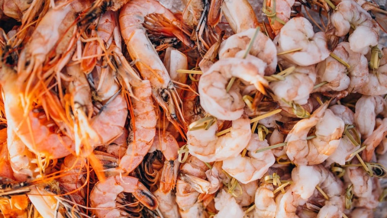 Shrimp Processing Plant Cost to Setup an Unit, Layout & Site Development: Project Report