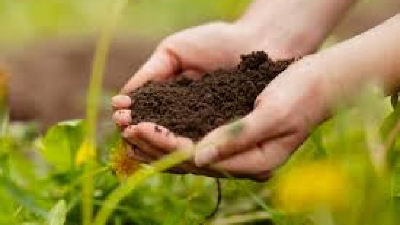 Soil Conditioners Market Trends 2025: Sustainable Farming Meets Smart Soil Solutions