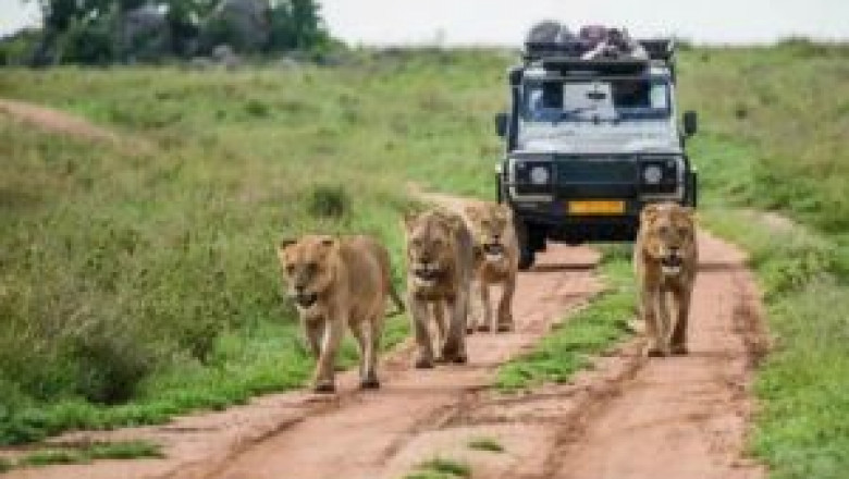 Cheetah Safaris Launches Sustainable Travel Initiatives in Kenya and Tanzania