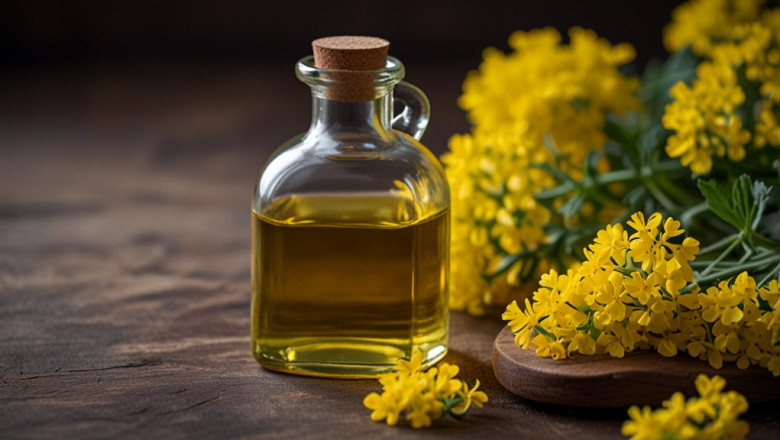 Rapeseed Oil Price Trend | Index | Chart | News | Monitor | Forecast Data