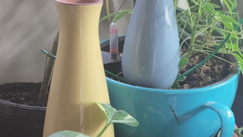 The Ultimate Guide to Self-Watering Planters: Keep Your Plants Thriving Effortlessly