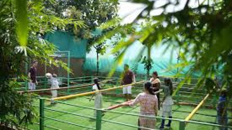 A Day Full of Joy: Family Outings at Suggee Resort
