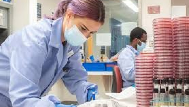Biobank Market Outlook: Powering the Future of Precision Medicine and Biomedical Research