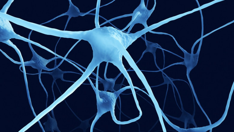 Giant Axonal Neuropathy (GAN) Market to Grow Rapidly Through Gene Therapy Advancements