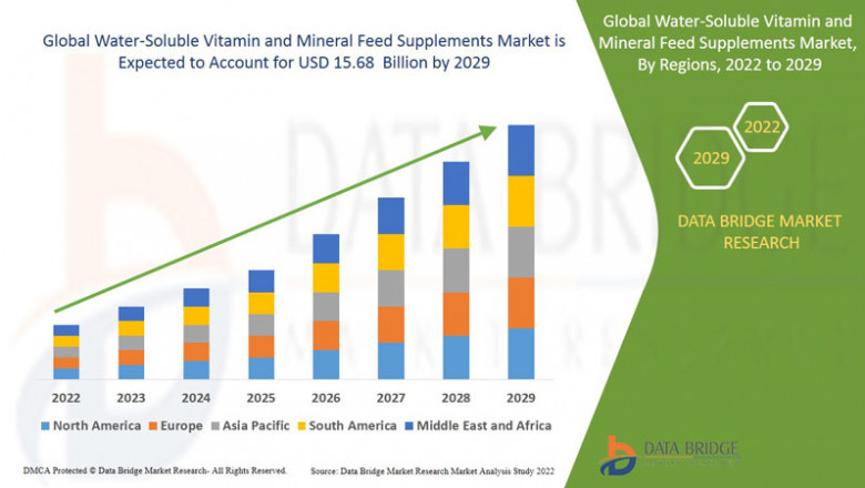 Growth and Trends in the Water-Soluble Vitamin and Mineral Feed Supplements Market