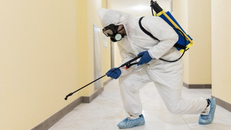 Pest Control Company for Your Home and Business