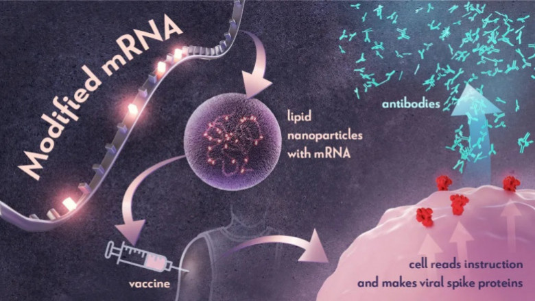 The Importance of Vaccines: A Lifesaving Breakthrough for Public Health