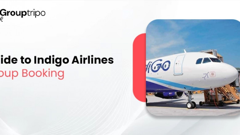 What Is Indigo Airlines Group Booking Process?