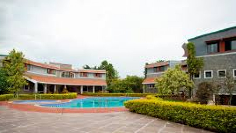 A Refreshing Retreat for Wellness Seekers