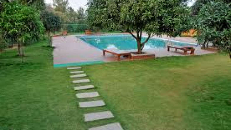 For Nature Lovers and Adventure Seekers | Suggee Resort