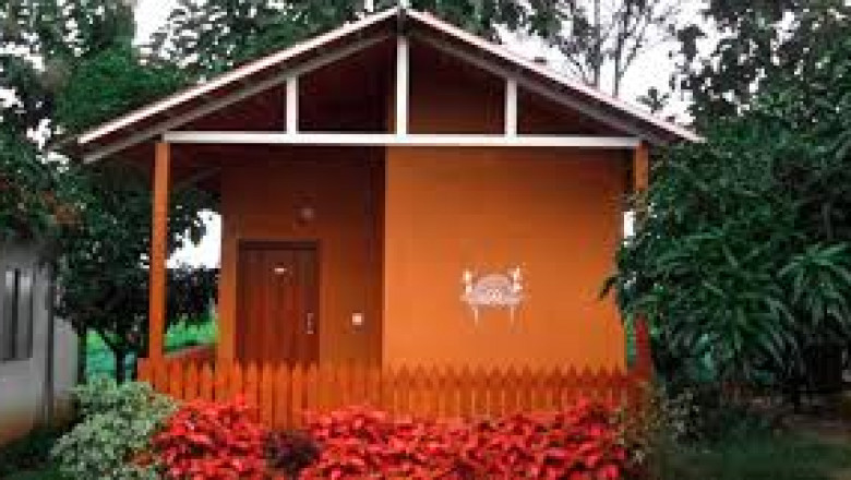 Not Just a Stay, an Experience | Suggee Resort
