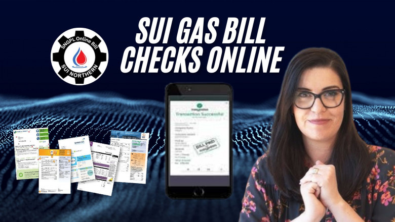 Simplifying SUI Gas Bill Checks Online: Tips for Pakistani Users