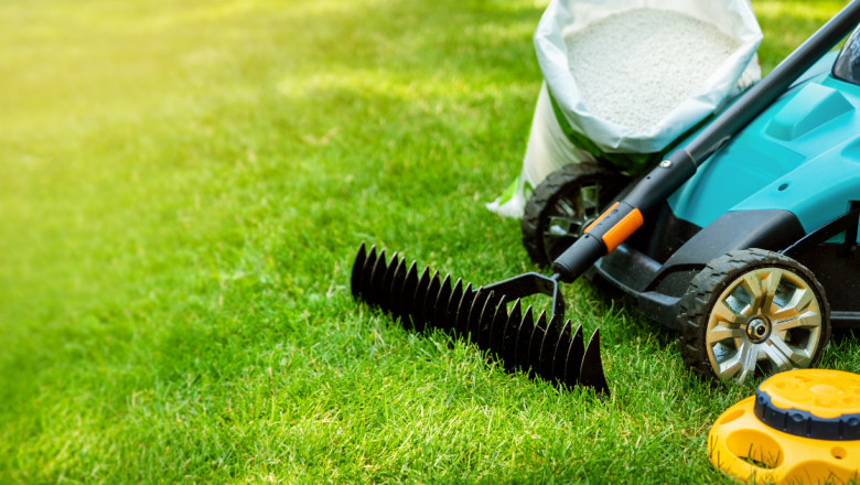 Sustainable Lawn Care: Top Organic Fertilizers in Canada for 2025