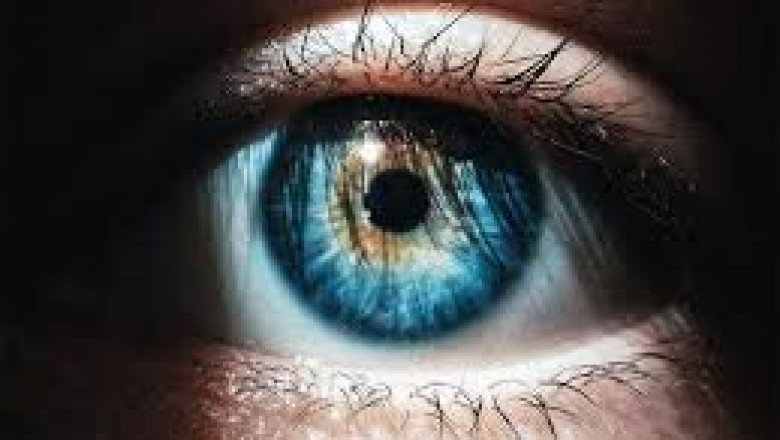 Unlocking Growth: Trends and Innovations in the Pigment Dispersion Market