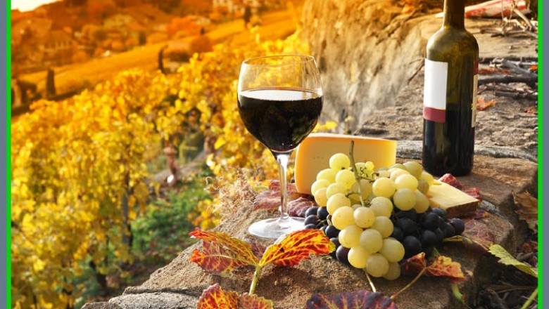 Want a Wine Day That’s Yours? Private McLaren Vale Tours Deliver