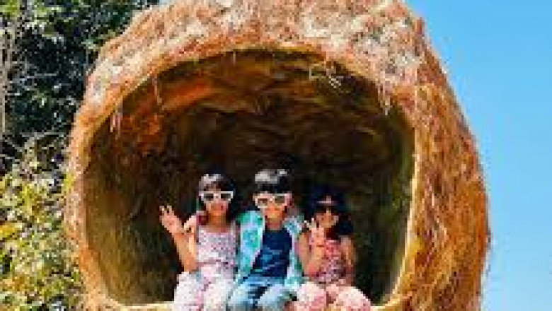 Where Fun Meets Serenity | Suggee Resort