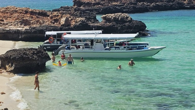 Explore the Abundant Marine Biodiversity of Oman: Snorkeling Expeditions in Daymaniyat Islands