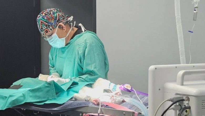 Happy Paws Pet Hospital Expands Services to Provide Comprehensive Care at Affordable Rates in Las Vegas