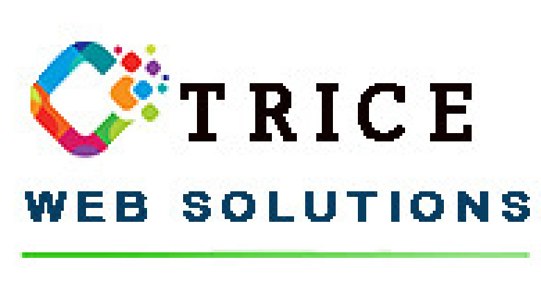 Trice Web Solution is a premier digital agency dedicated to transforming