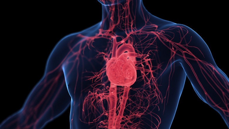 Cardiovascular Calcification Market to Rise on Imaging Advancements