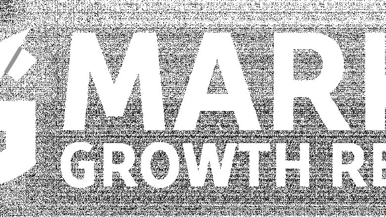 Malware Analysis Market Size and CAGR Report Forecast | 2025 to 2033