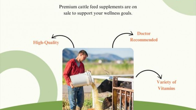 Top Cattle Feed Provider in India—Enpro Feeds