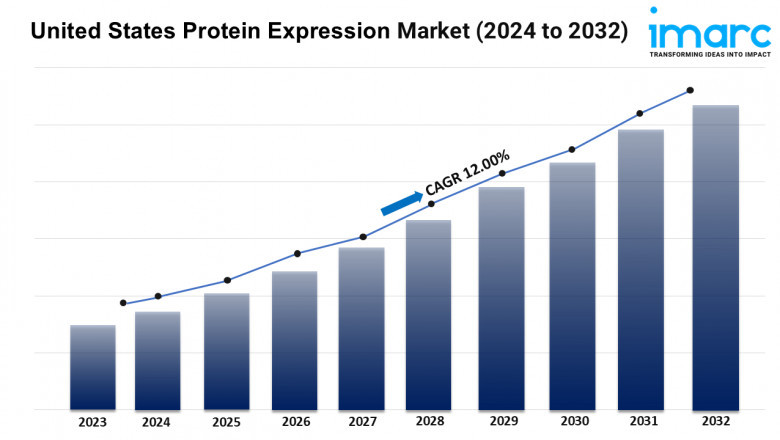 U.S. Protein Expression Market Trends, Demand, Growth and Business Opportunities 2024-2032