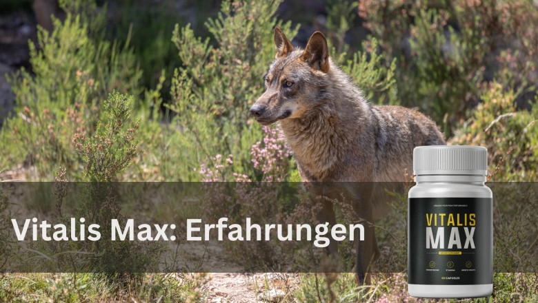 Vitalis Max – Alles-in-één wellnessformule voor de vitaliteit van mannen