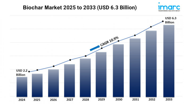 Biochar Market Report 2025 | Growth, Size, and Trends Forecast by 2033