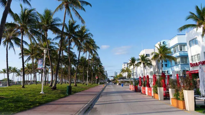 Discover the Pulse of Paradise: A Deep Dive into Ocean Drive Miami and the Top Rooftop Bars in Miami