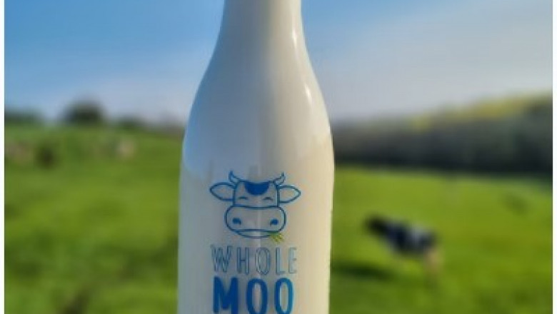 Don’t Wait—Get Cold, Creamy Milk from a Vending Machine Near You