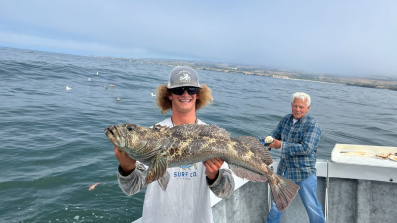 Experience the Thrill of the Catch with Local Fishing Charters: Your Ultimate Guide to Fishing Charters Near Me and Offshore Fishing Near Me
