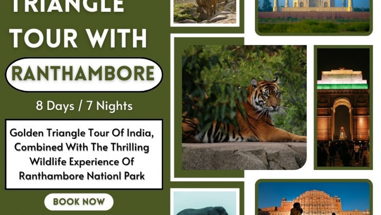 Golden Triangle Tour With Ranthambore