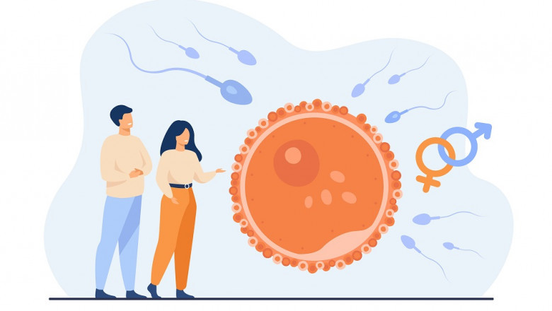 How much does it cost to get sperm extracted in Brisbane?