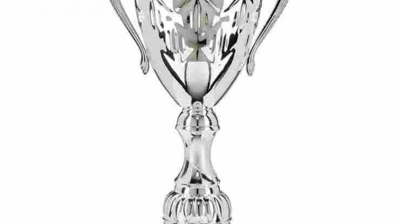 How to Position Your Organization for a Global Impact Award Nomination