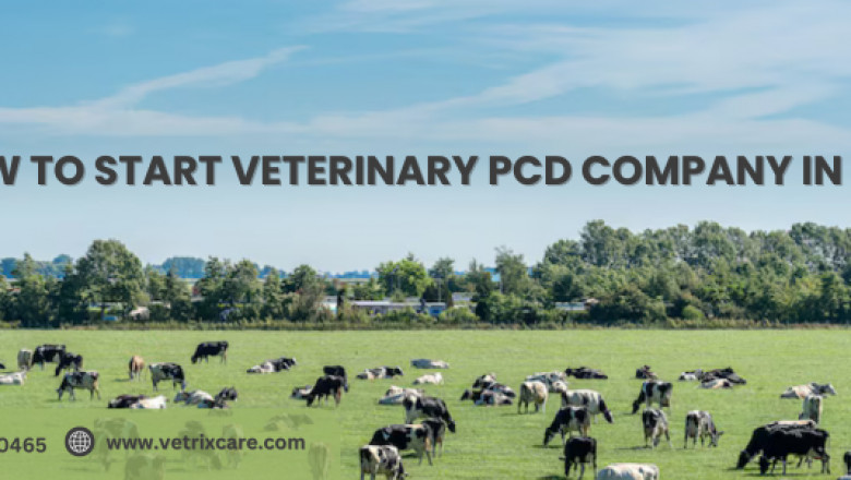 How to Start Veterinary PCD Company in India