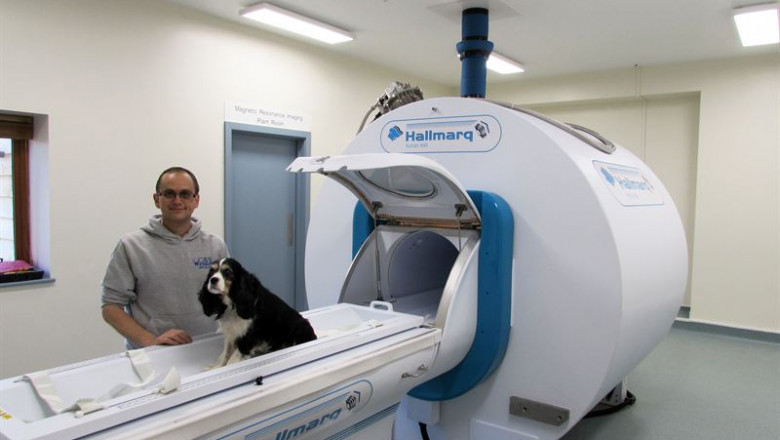 Veterinary MRI Systems Market Shows Strong Growth Due to Innovations and Increased Animal Health Spending