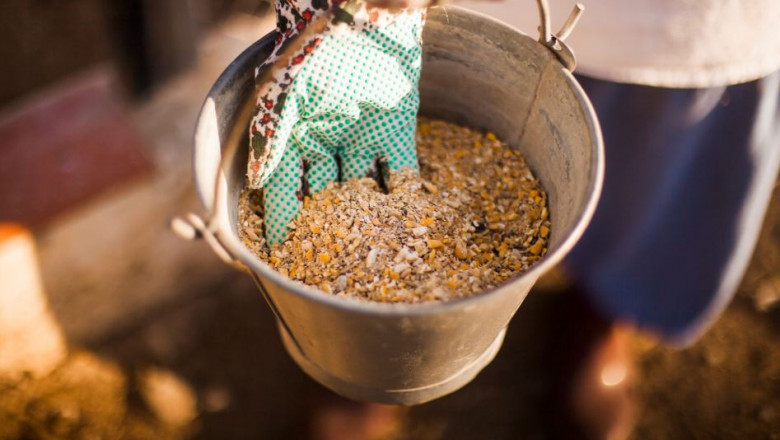 Enpro Feeds: Your Trusted Animal Feed Provider in India