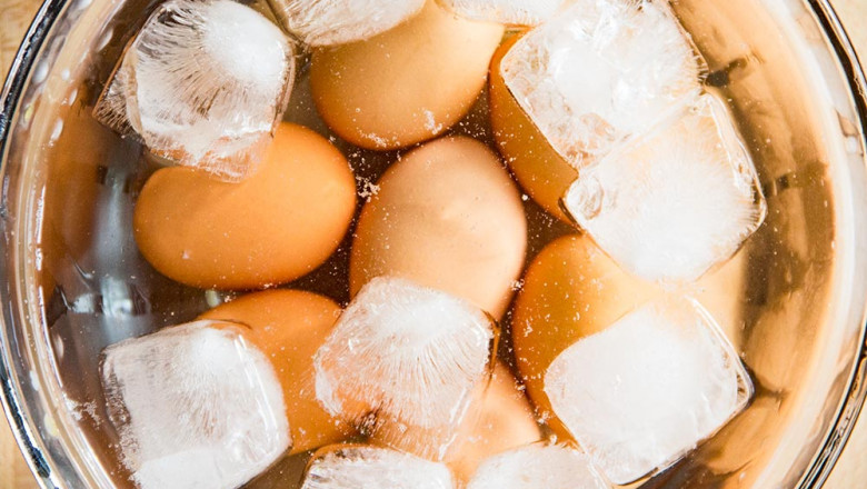 Frozen Eggs Market Recent Developments: Innovations and Strategic Shifts