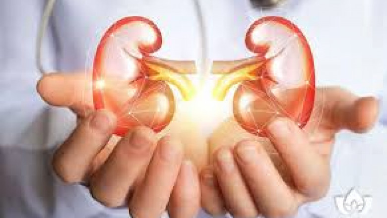 How to Keep Your Kidneys Healthy Naturally?