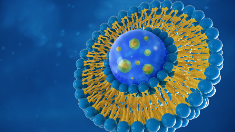 Lipid Nanoparticles Market to Grow Fastest Owing to mRNA Vaccine Delivery