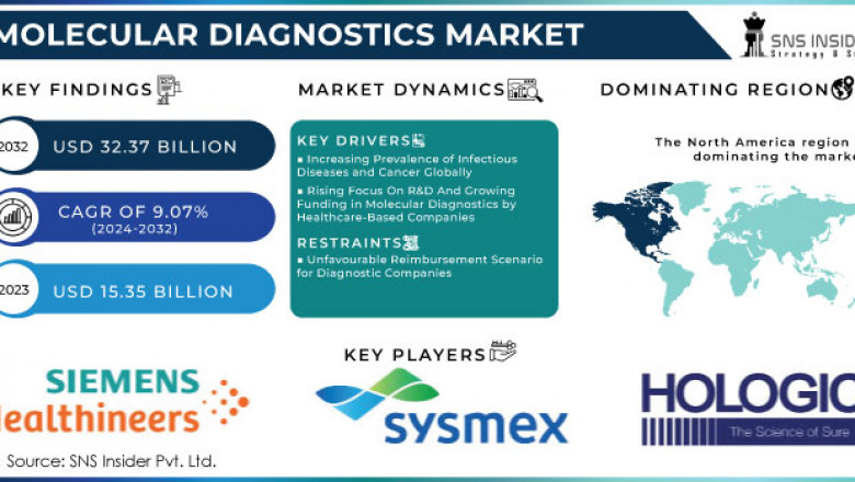 Molecular Diagnostics Market: Market Size, Trends, and Forecast 2024-2032