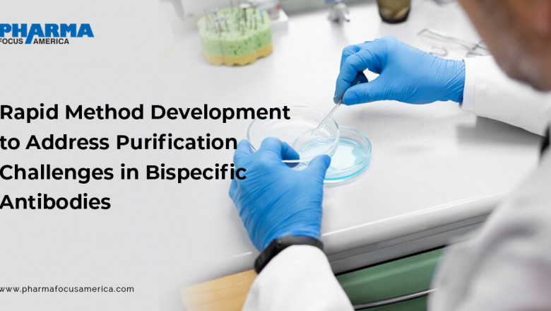 Rapid Method Development for Bispecific Antibody Purification