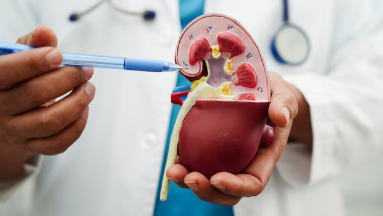 When to See a Specialist: Early Signs of Urinary Tract Disorders